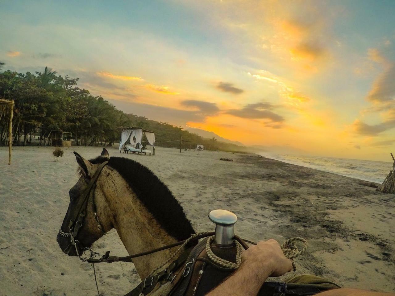 Tay Beach Hotel Tayrona Buritaca Exterior foto